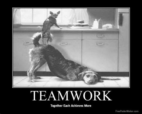 Teamwork | I love dogs, Pets, Funny dogs