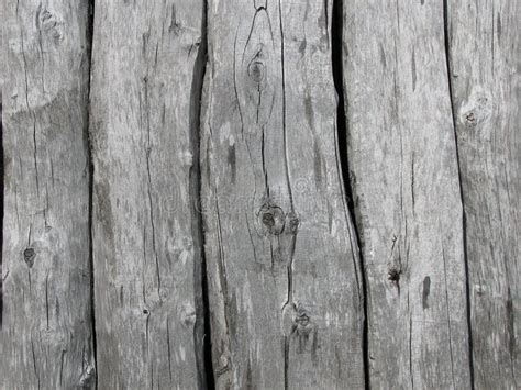 Weathered wood planks stock photo. Image of neutral, cracked - 2418498