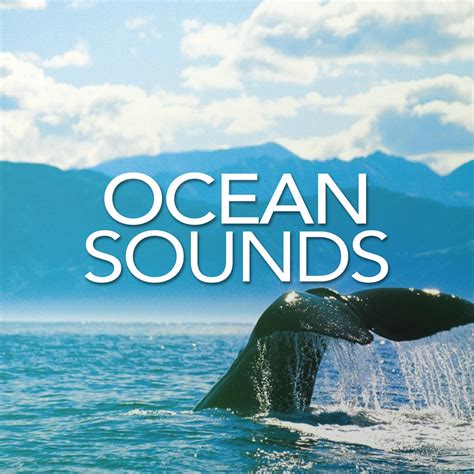 Ocean Sounds - Ocean Sounds | iHeart