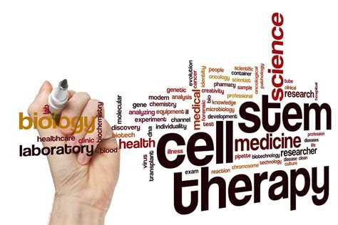 Are All Stem Cell Therapies the Same? - San Diego Orthobiologics ...