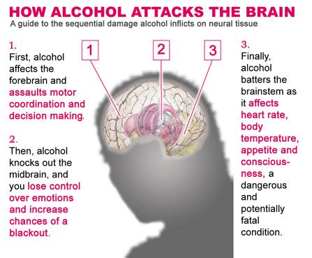 Alcohol's Path - Alcohol and You