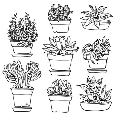 100,000 Potted plants Vector Images | Depositphotos