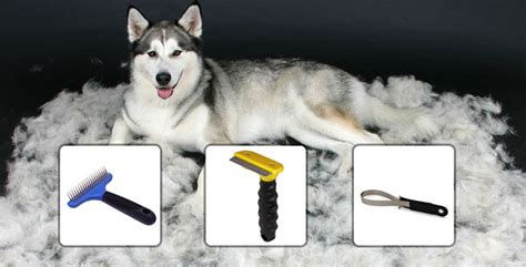 Best Grooming Tools For Huskies - Brushing And Trimming