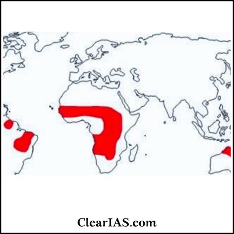 World Climate: Types and its Characteristics - ClearIAS