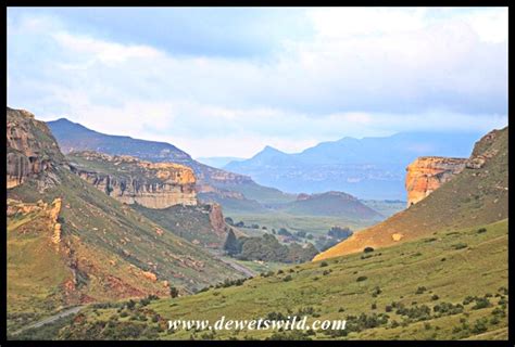 Golden Gate Highlands National Park | de Wets Wild