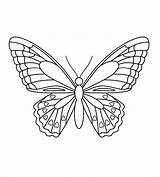 Butterfly Outline Coloring Page At GetDrawings  Free Download sketch template