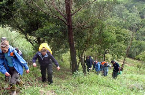 Trekking at Munnar