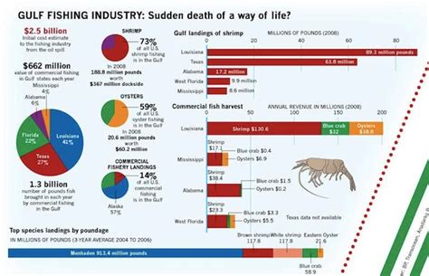 Powerful Infographics That Tell the Story of Gulf Oil Spill | Dawn ...