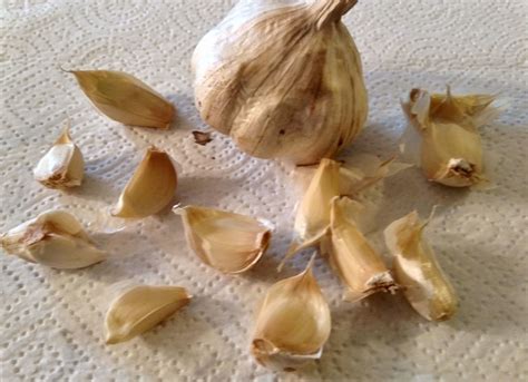 How To Grow Garlic This Fall - Simple Methods To A Great Crop