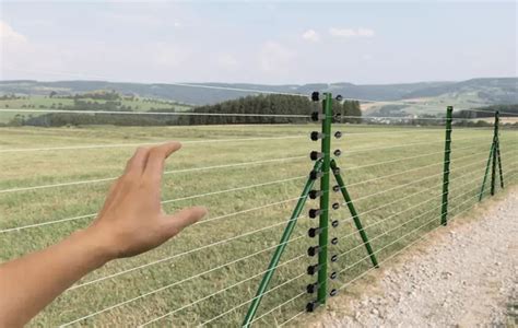 Electric Fence: Electric Fencing System & Electrified Fence