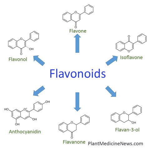 Do flavonoids help relieve osteoarthritis symptoms? - Plant Medicine News