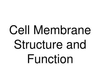 PPT - Cell Membrane Structure and Function PowerPoint Presentation, free download - ID:436575