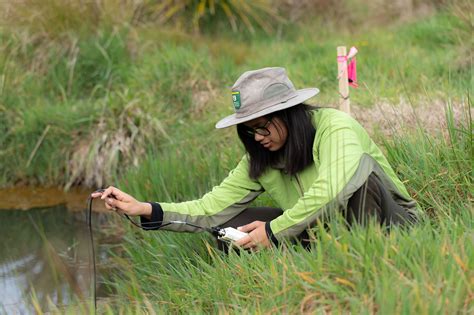 Fish out of water: black mudfish | Conservation blog