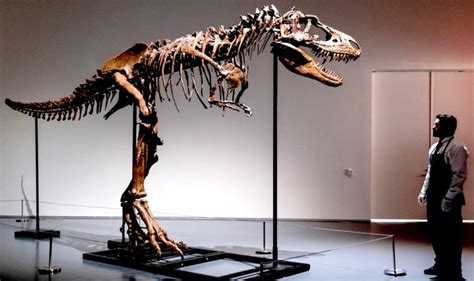 US $6.1 million paid for rare Gorgosaurus dinosaur skeleton | Thaiger