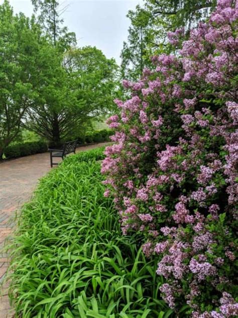 One of My Favorite Parks in the Spring - Glenwood Gardens