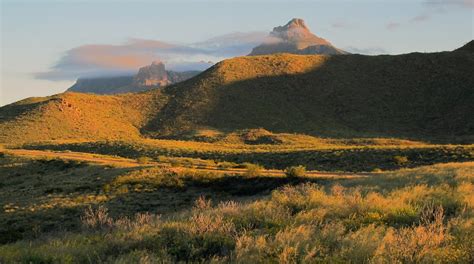 Visit Big Bend National Park: Best of Big Bend National Park Tourism ...