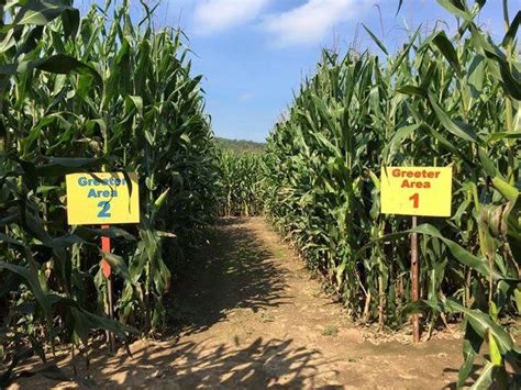 Klingel's Farm Corn Maze & Pumpkin Patch - Saylorsburg, PA