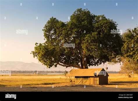 Camp Mana, Mana Pools National Park, Zimbabwe Stock Photo - Alamy