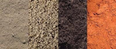 Do You Use Loam Soil In Your Garden? If Not, Look here! - Civil ...