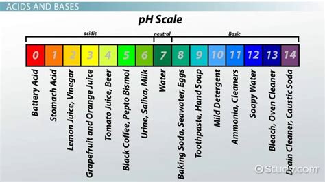 The Acid-Base Properties of Water - Video & Lesson Transcript | Study.com