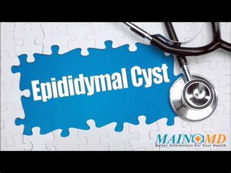 Epididymal Cyst Size Chart