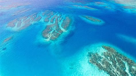 Coral reef aerial view-Ocean scenery HD wallpaper Preview | 10wallpaper.com