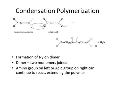 PPT - Polymerization Reactions PowerPoint Presentation, free download ...