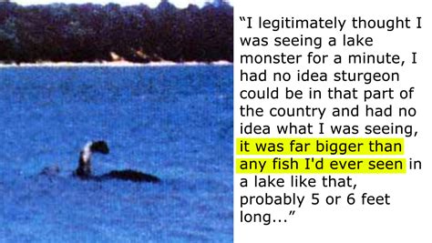 20 Theories About What The Lake Champlain Monster Photographed in 1977 Really Is – Collective World