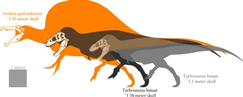 Carnotaurus Size Comparison T Rex