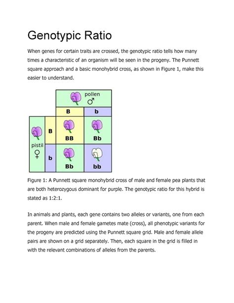 Genotypic Ratio - Genotypic Ratio When genes for certain traits are ...