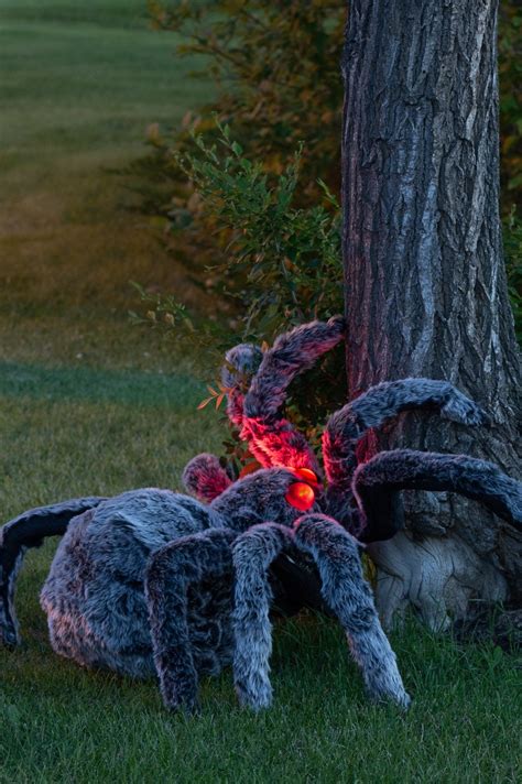 DIY Giant Halloween Spider Decoration to Scare Your Neighbours