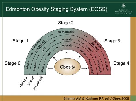 OBESITY RESOURCES ON THE INTERNET - Compiled by Betty C. Jung