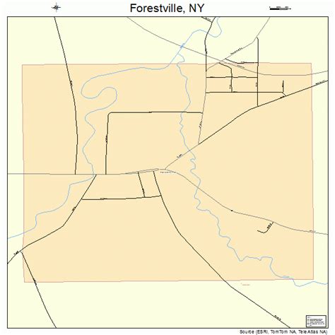 Forestville New York Street Map 3626649