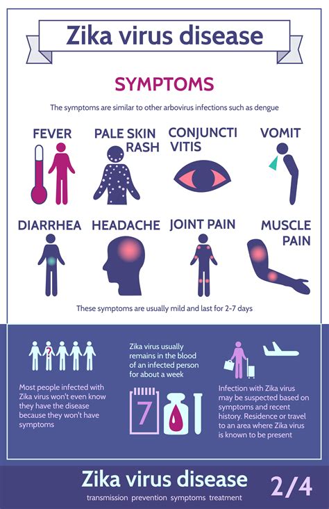 Zika Infographics: Transmission,Symptoms,Treatment and Prevention