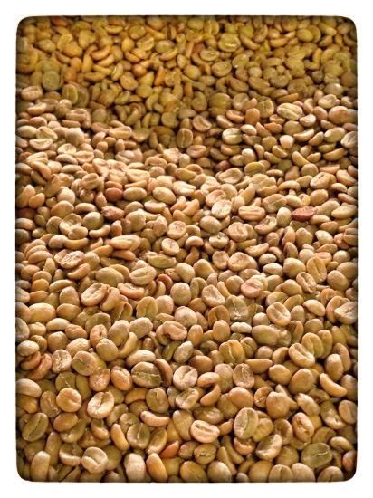 More Tips on Roasting Green Coffee at Home | Coffee, Coffee roasting, Coffee beans