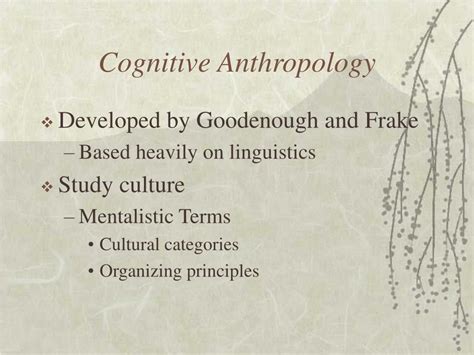 PPT - Cognitive Anthropology PowerPoint Presentation, free download - ID:6736621