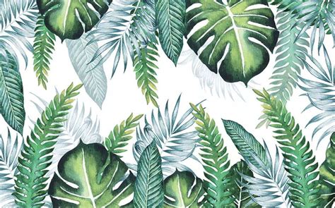 🔥 Download Monstera Wallpaper Tropical Jungle Leaf Wallcovering Wallpapered by @thorn27 | Plant ...