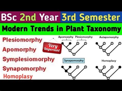 Apomorphy/Synapomorphy/ Plesiomorphy/Symplesiomorphy/Homoplasy/BSc 2nd Year 3rd Semester Botany ...