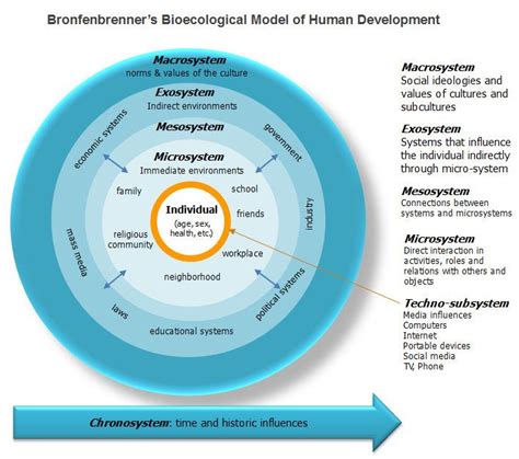 6. Shaping influences–human development | DREWLICHTENBERGER | Human ...