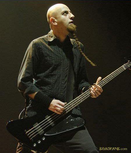 Shavo Odadjian ~ Bassist from System of a Down | System of a down, Hero inspiration, Bassist