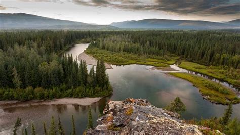 Sustaining Canada's Boreal Forest | The Pew Charitable Trusts