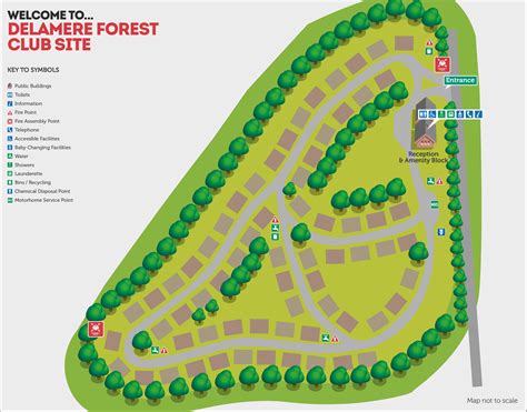 Delamere Forest Campsite - Camping and Caravanning Club Site