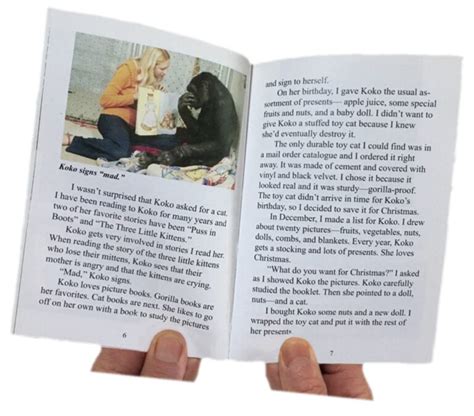 Read about Koko / A Wish for Koko / eBook / Page 5 - The Gorilla Foundation