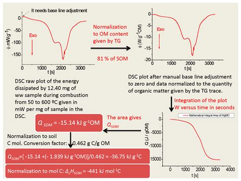 Applied Sciences | Free Full-Text | Thermodynamics of Soil Microbial ...