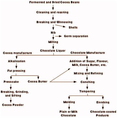 Chocolate Production Process - Food Science Universe (FSU)