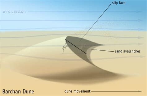 Geologi Indonesia: Barchan dune