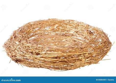 Empty Golden Nest Royalty Free Stock Photos - Image: 8586508