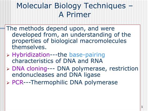 PPT - Molecular Biology Techniques – A Primer PowerPoint Presentation - ID:2938485