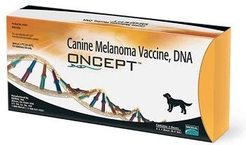 Malignant Melanoma in Dogs – A Colorful Canine Cancer