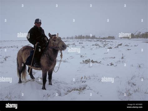 Altai mountains , mongolia, mongolian Stock Photo - Alamy